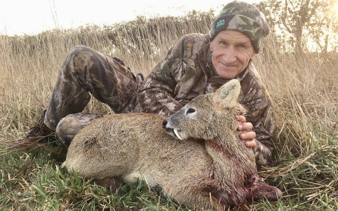 Chinese Water Deer