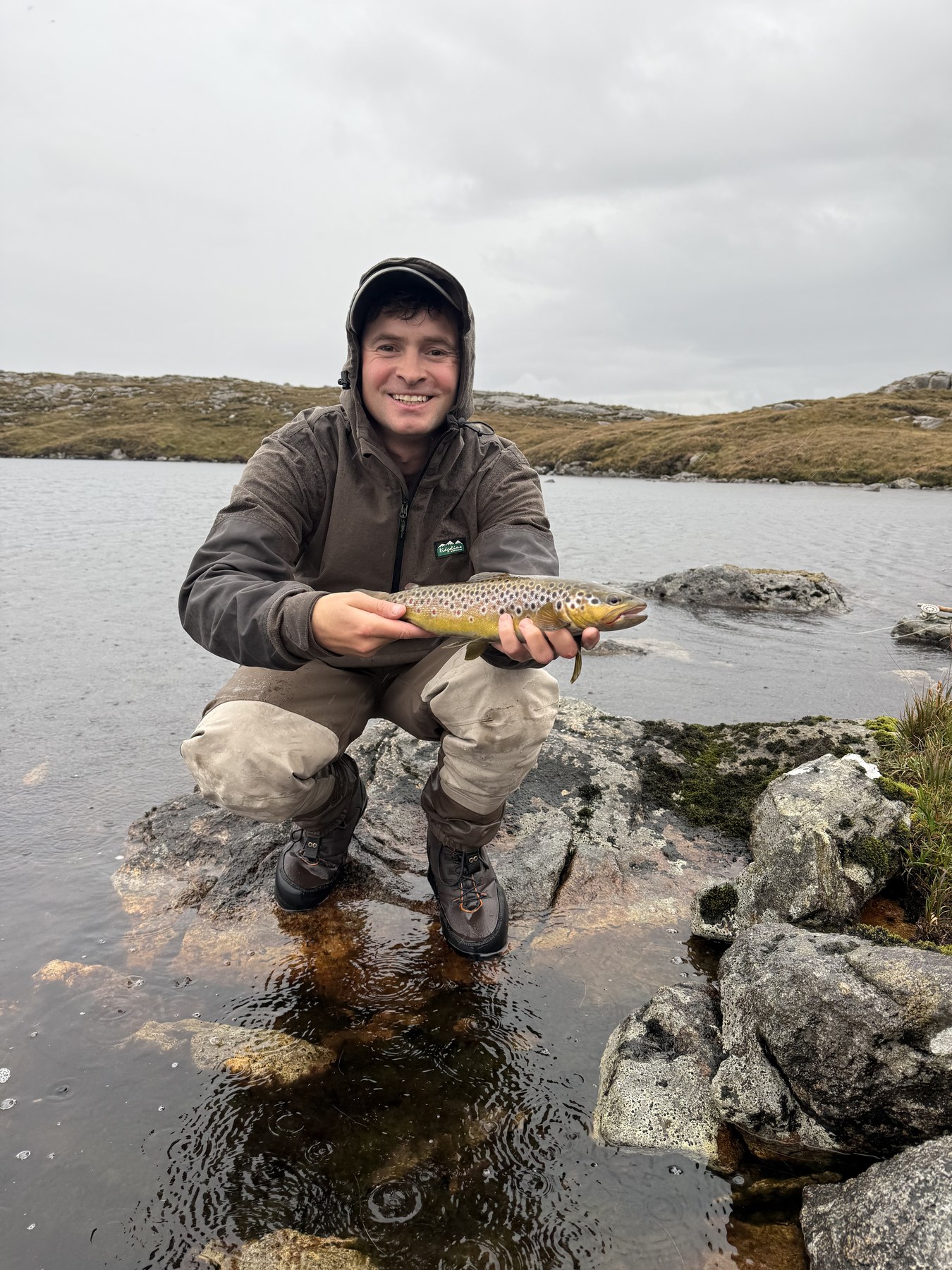 Brown trout on Highland rocks