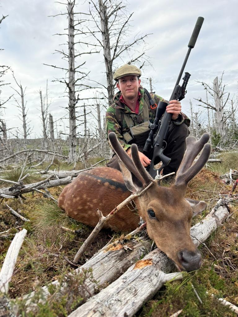 George with a Highland sika stag in pre-season forestry