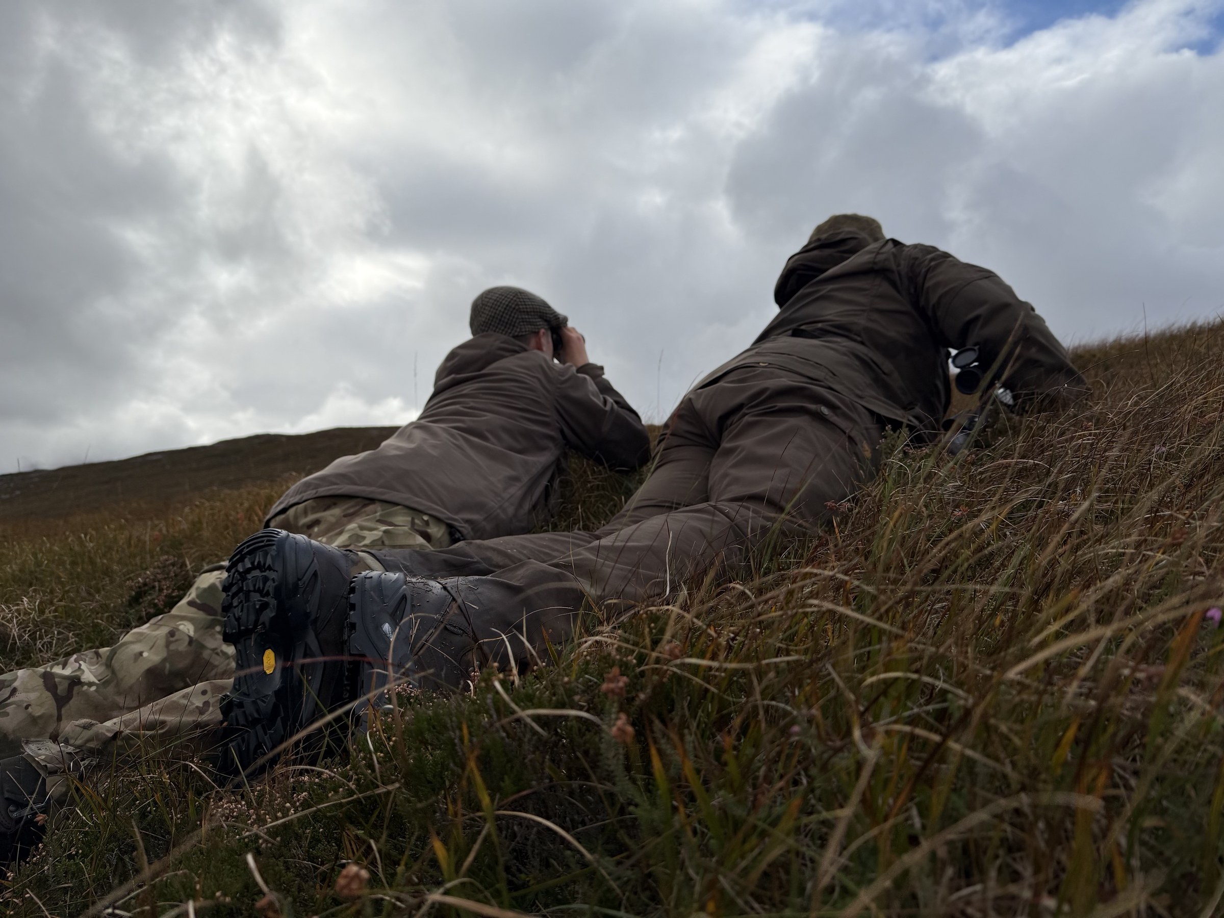 Stalkers glassing the hill from a prone ridge position