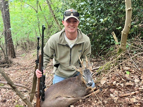 Norfolk roe buck in woodland