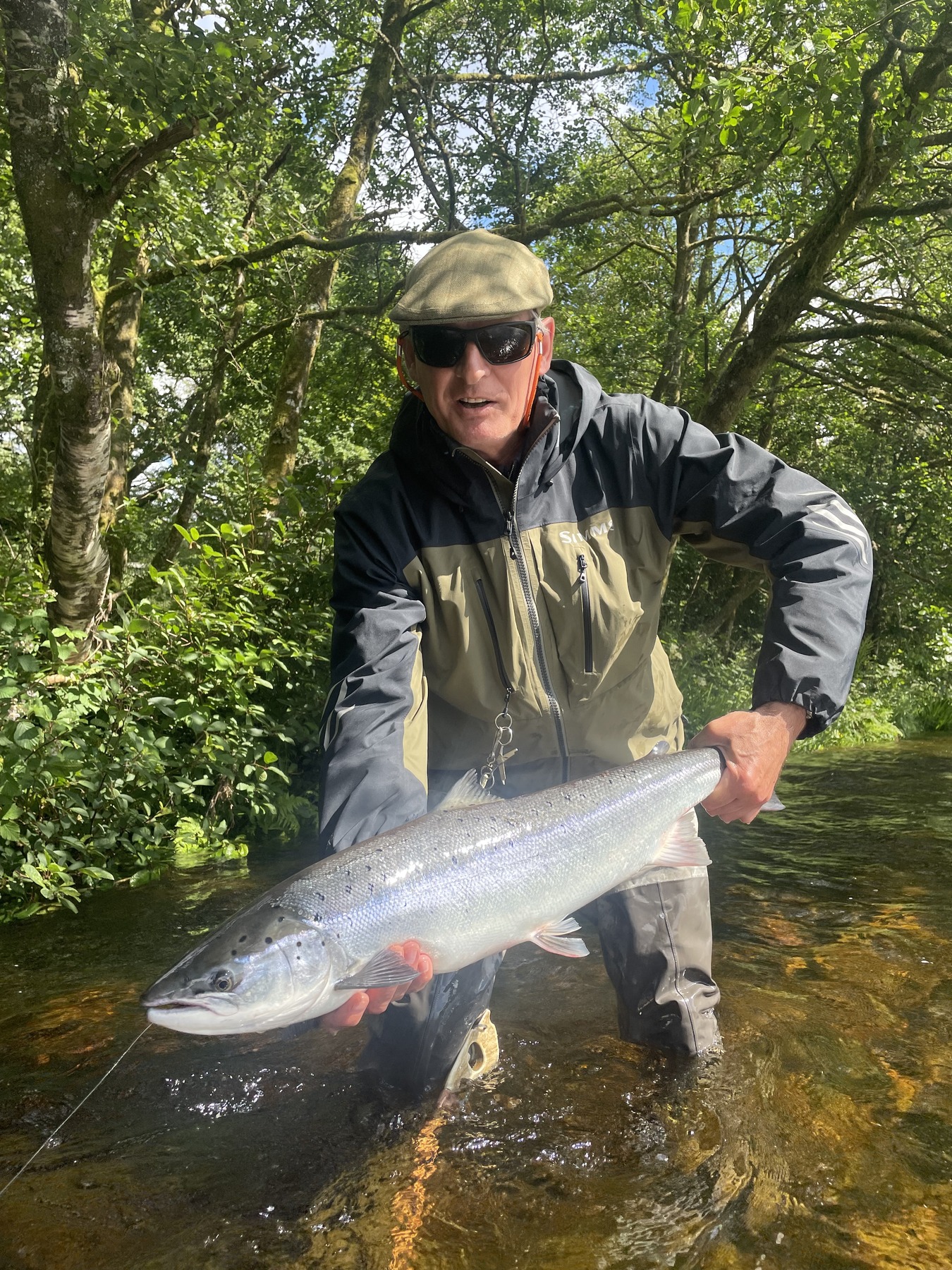 Atlantic salmon held close to the water