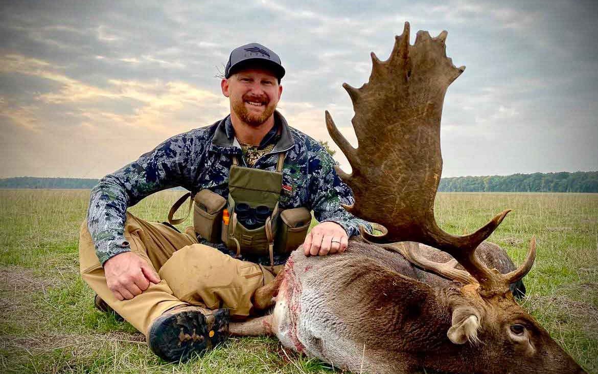Fallow Buck