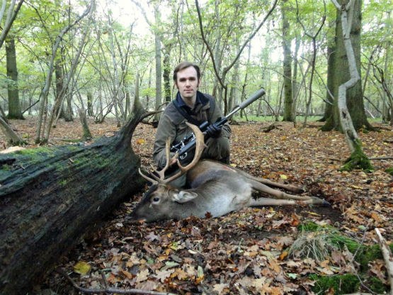Hunter with a Suffolk fallow buck in autumn woodland