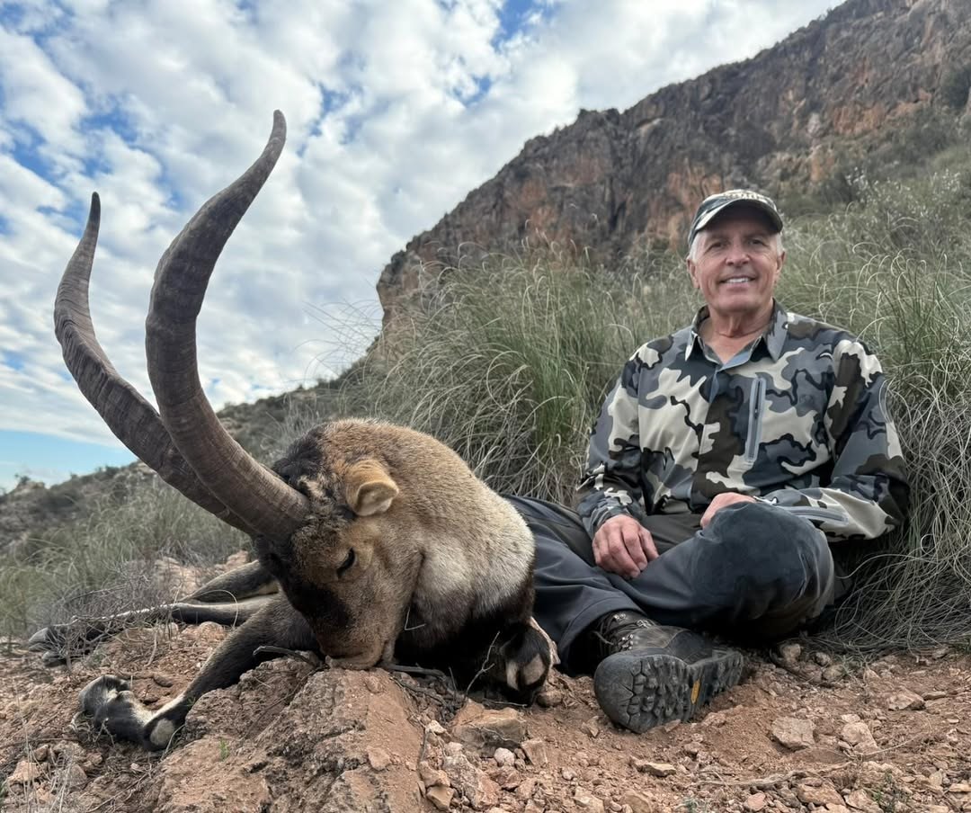 Southeastern Ibex