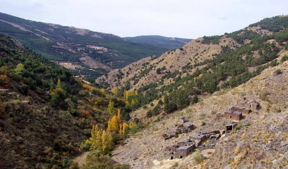 Sierra Nevada landscape