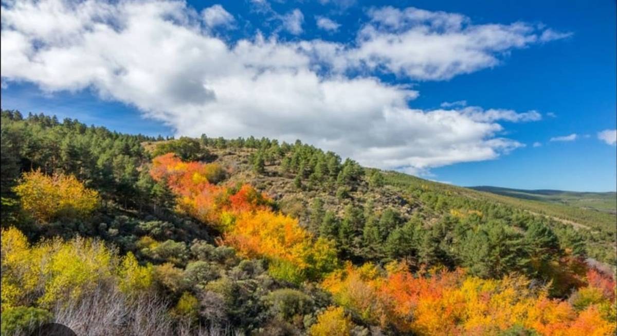 Sierra Nevada hunting country