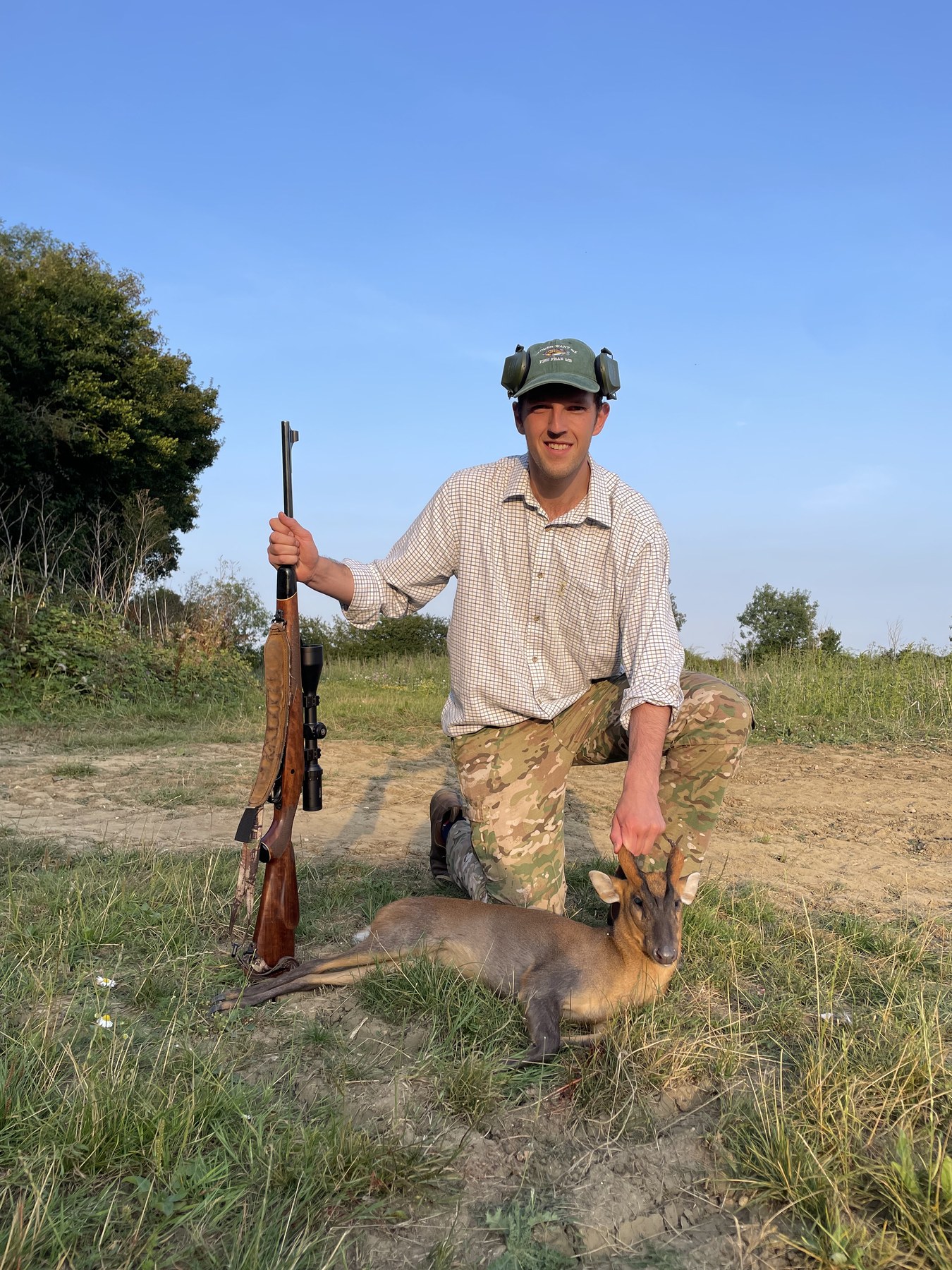 Norfolk muntjac buck