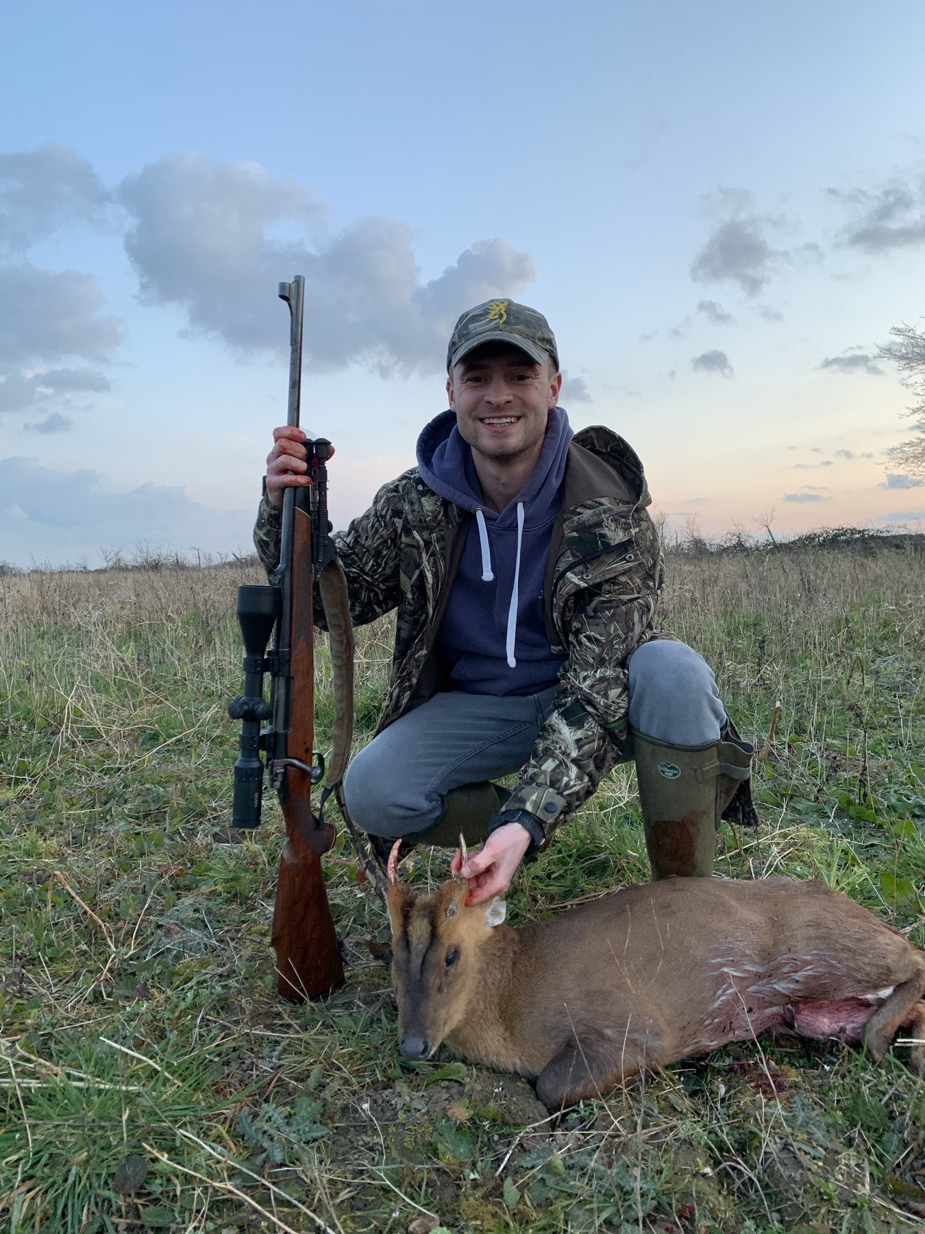 Norfolk muntjac buck