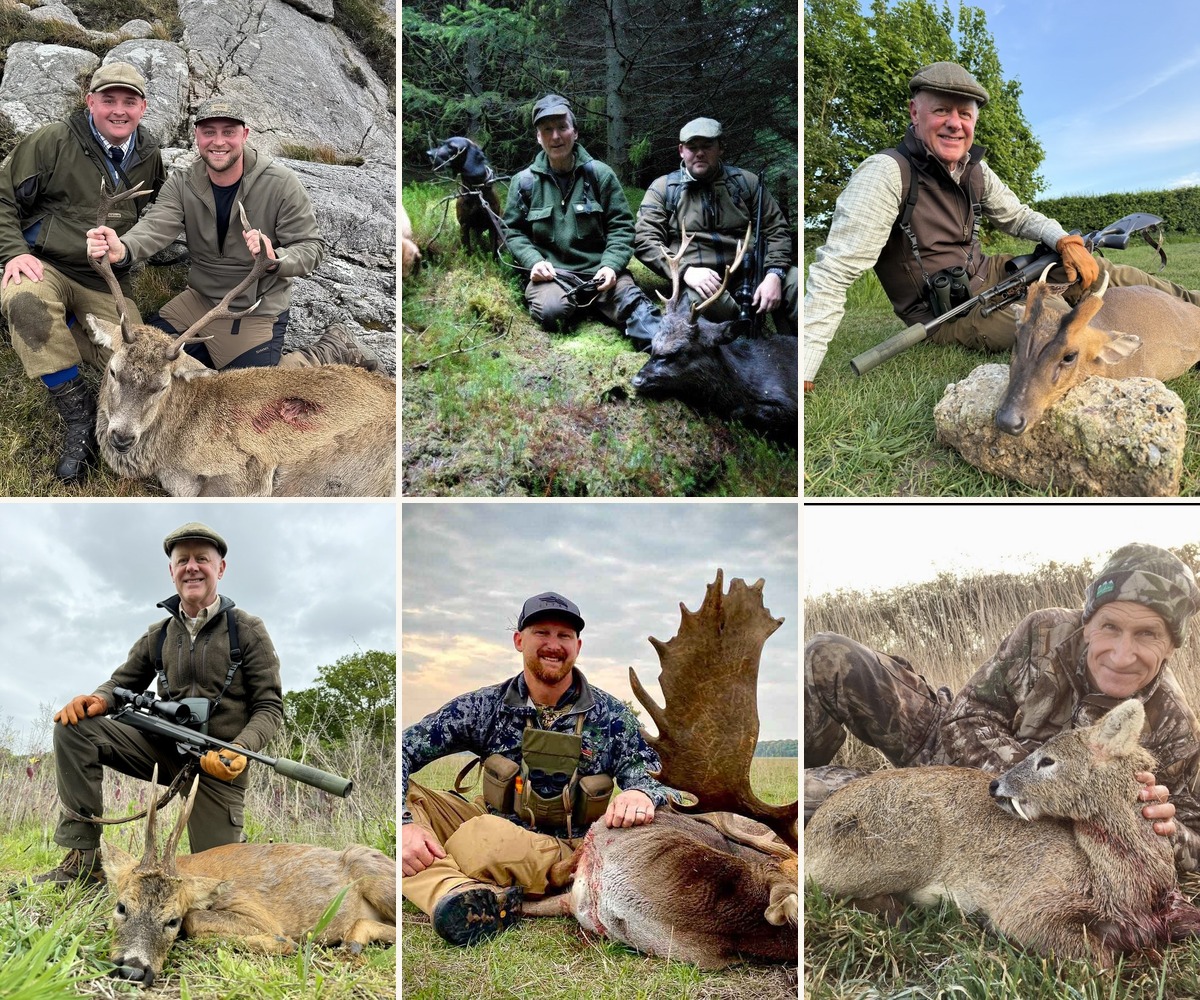 The British Slam — all six British deer