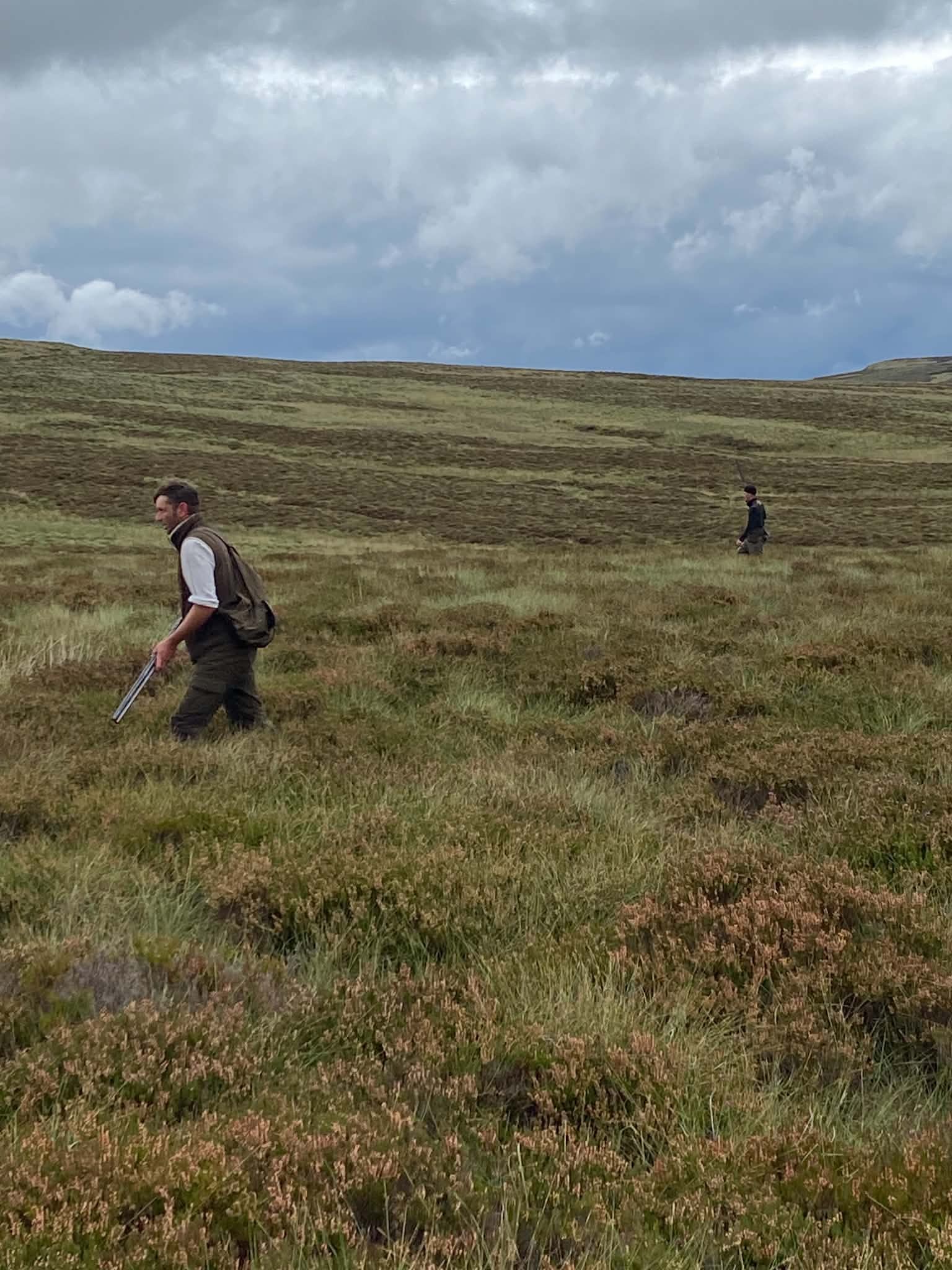 Single gun walking the Campsie moor